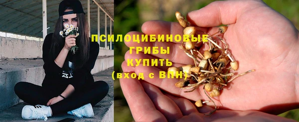 гашишное масло Богородицк